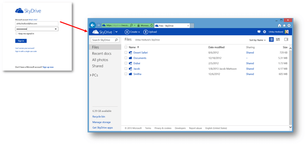 How to use SkyDrive for both business and personal data