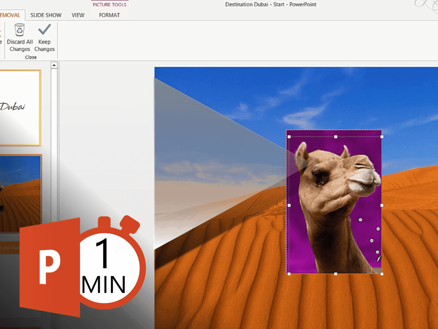 How to remove the background from an image in PowerPoint 2013